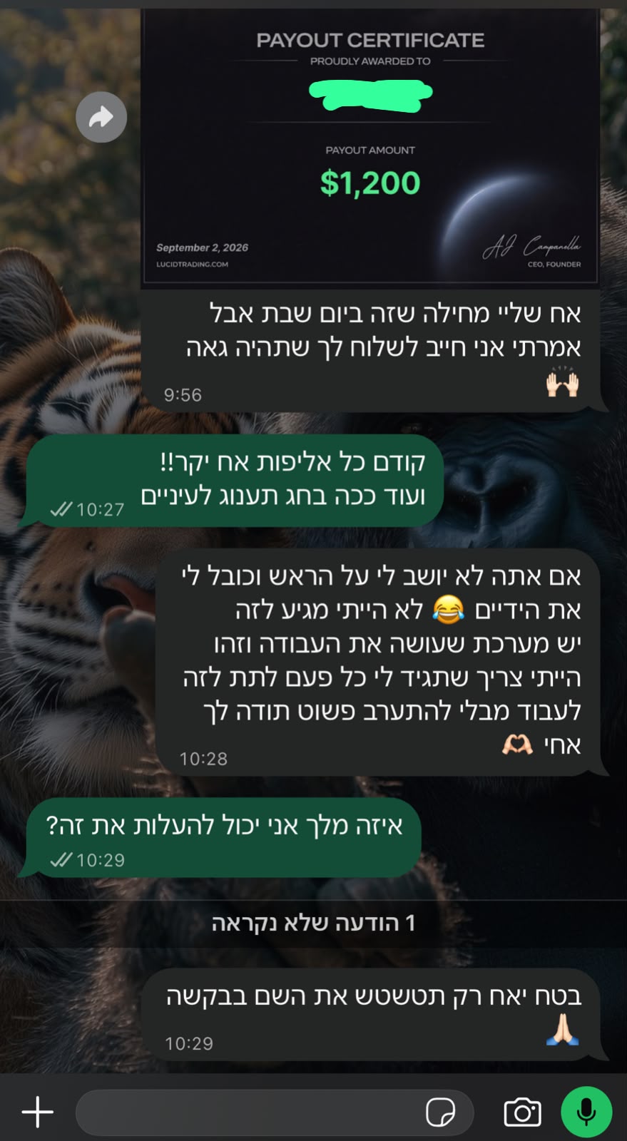 עדות של חבר קהילה